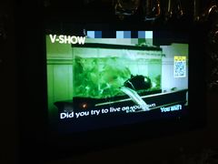 -V SHOW max KTV(粉巷店)