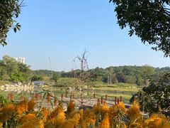 -广西壮族自治区药用植物园