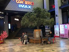 -CGV影城(源著IMAX店)