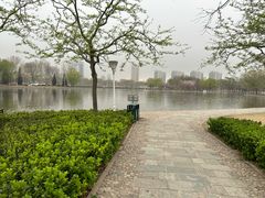 -泰丰公园