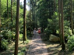 -狼山风景名胜区