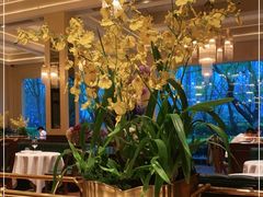 大堂-福楼法餐厅FLO