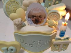 -联合动物医院(光谷诊疗中心)