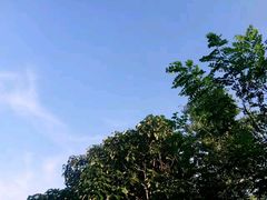 -伏羲大峡谷