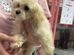 -FAELING PETS美天灵宠物(合生汇店)