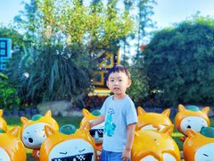 -上海长兴岛郊野公园