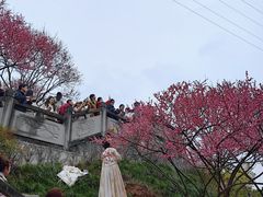-重庆彩云湖湿地公园