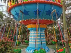 -南宫五洲植物乐园