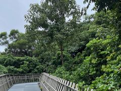 -福道