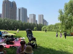 -长白岛森林公园