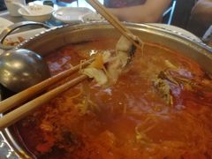 -芦苇荡·酸汤鱼(回龙观店)