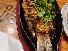 -邵年鸽(杨庄店)