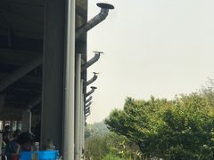 -苏州太湖西山岛开心农场