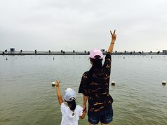 -碧海金沙