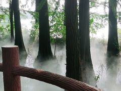 -东湖落雁景区