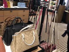-COACH蔻驰(赛特奥特莱斯店)