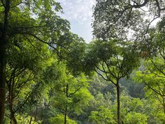 -广州市白云山风景名胜区