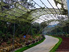 -牛鱼嘴原始生态风景区