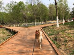 -东郊湿地公园