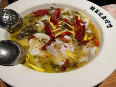 -太二酸菜鱼(汕头苏宁广场店)