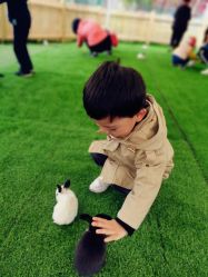 -萌宠亲子动物乐园(槐房万达店)