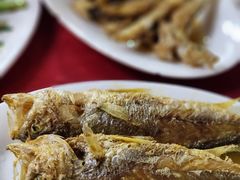-蛇口康乐快餐鱼仔档(翠苑小区店)