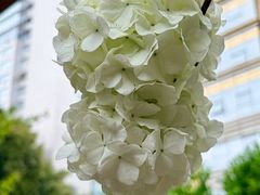 -T-COFFEE(长江花园店)