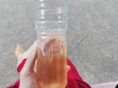 -大声公凉茶