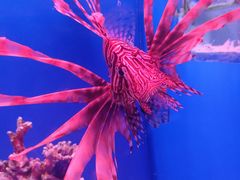 -石家庄极地海洋世界