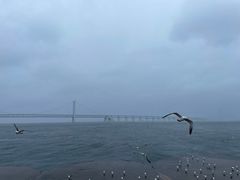 -星海广场
