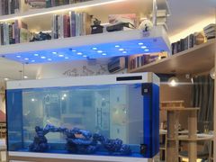 -喵园·猫主题咖啡厅·撸猫·猫咖(国贸店)