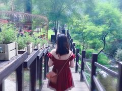 -Local泰莲庭(虹鳟鱼店)