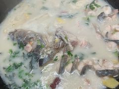-鲜潭蒸汽石锅鱼(五道口购物中心店)