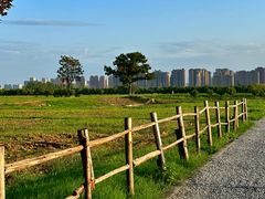 -汉长安城未央宫国家考古遗址公园