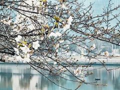 -西北湖绿化广场