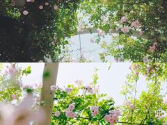 -龙寺生态园