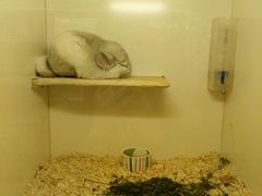 -龙猫仔乐园(惠福东路店)