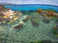 -福州罗源湾海洋世界旅游区