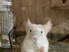 -龙猫仔乐园(惠福东路店)