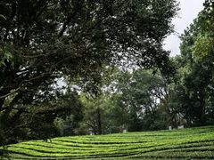 -敬亭山风景名胜区