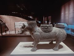 -大同市博物馆