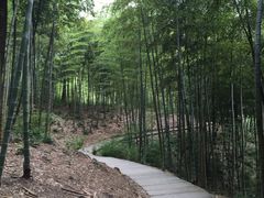 -藏龙百瀑风景区