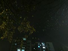 -Paulaner·德国帕拉娜自酿啤酒餐厅(海上世界店)