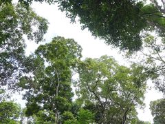 -野象谷景区
