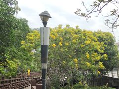 -立新湖公园