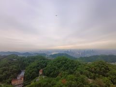 -大金鹰园