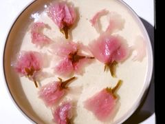 樱花冻芝士蛋糕-亦家cake·0卡糖