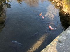 -水前寺成趣园
