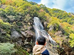 -少华山国家森林公园