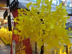 -巴黎春天(浦建店)